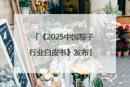 《2025中国粽子行业白皮书》发布
