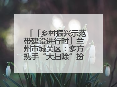 「乡村振兴示范带建设进行时」兰州市城关区：多方携手“大扫除”扮靓乡村“颜值”