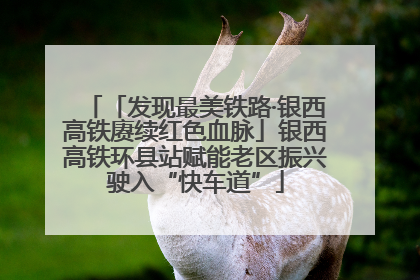 「发现最美铁路·银西高铁赓续红色血脉」银西高铁环县站赋能老区振兴驶入“快车道”