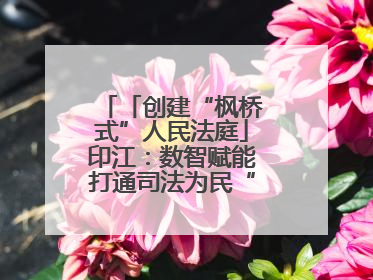 「创建“枫桥式”人民法庭」印江：数智赋能打通司法为民“最后一公里”