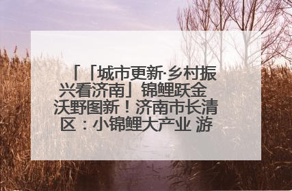 「城市更新·乡村振兴看济南」锦鲤跃金 沃野图新！济南市长清区：小锦鲤大产业 游出农旅新风景