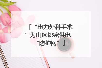 “电力外科手术”为山区织密供电“防护网”
