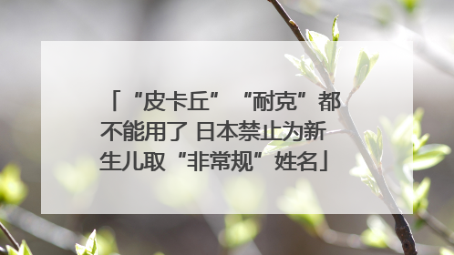 “皮卡丘”“耐克”都不能用了 日本禁止为新生儿取“非常规”姓名