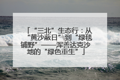 “三北”生态行：从“黄沙蔽日”到“绿毯铺野”——浑善达克沙地的“绿色重生”