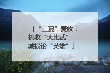 “三夏”麦收：机收“大比武” 减损论“英雄”