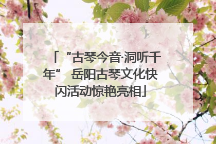 “古琴今音·洞听千年” 岳阳古琴文化快闪活动惊艳亮相