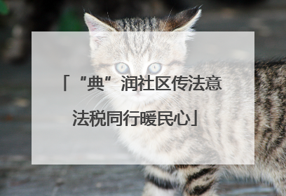 “典”润社区传法意 法税同行暖民心