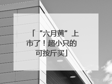 “六月黄”上市了！超小只的可按斤买