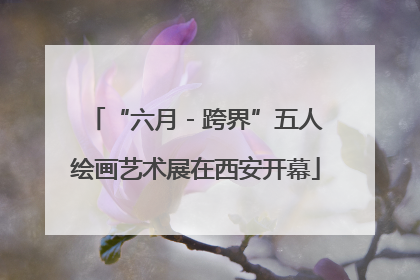 “六月 - 跨界”五人绘画艺术展在西安开幕
