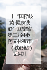 “国粹岐黄 健康铁岭”辽宁省第二届中医药文化夜市（铁岭站）启动