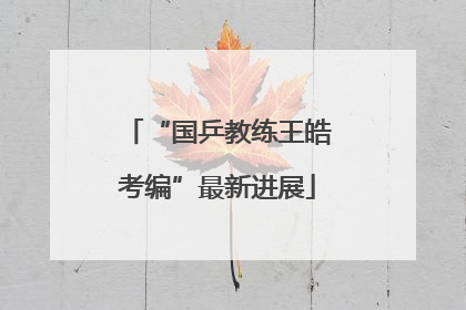 “国乒教练王皓考编”最新进展