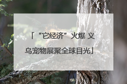 “它经济”火爆 义乌宠物展聚全球目光