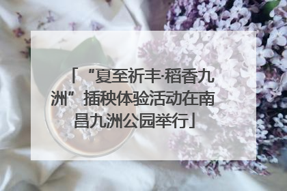 “夏至祈丰·稻香九洲”插秧体验活动在南昌九洲公园举行