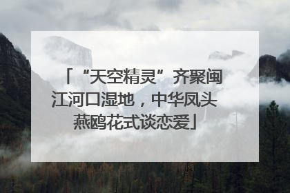 “天空精灵”齐聚闽江河口湿地，中华凤头燕鸥花式谈恋爱