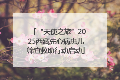 “天使之旅”2025西藏先心病患儿筛查救助行动启动