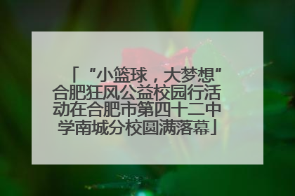 “小篮球，大梦想”合肥狂风公益校园行活动在合肥市第四十二中学南城分校圆满落幕