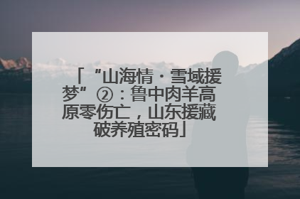“山海情・雪域援梦”②：鲁中肉羊高原零伤亡，山东援藏破养殖密码