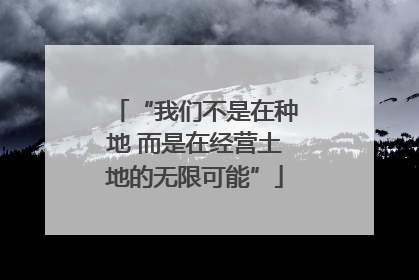 “我们不是在种地 而是在经营土地的无限可能”