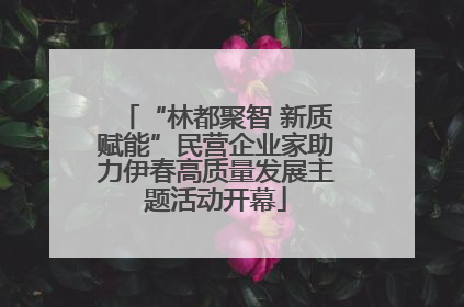 “林都聚智 新质赋能”民营企业家助力伊春高质量发展主题活动开幕