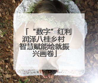 “数字”红利润泽八桂乡村 智慧赋能绘就振兴画卷