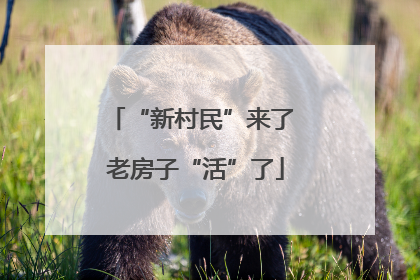 “新村民”来了 老房子“活”了