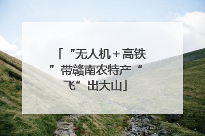 “无人机＋高铁”带赣南农特产“飞”出大山