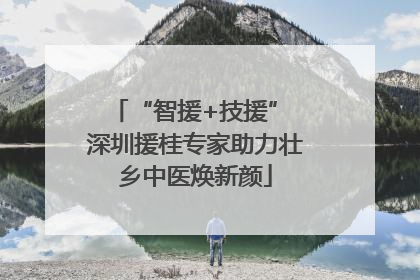 “智援+技援” 深圳援桂专家助力壮乡中医焕新颜