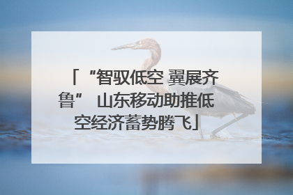 “智驭低空 翼展齐鲁” 山东移动助推低空经济蓄势腾飞