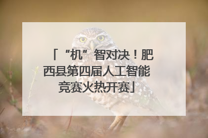 “机”智对决！肥西县第四届人工智能竞赛火热开赛
