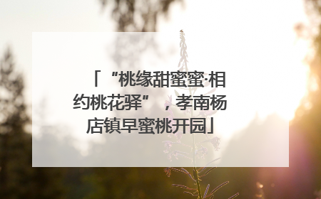 “桃缘甜蜜蜜·相约桃花驿”，孝南杨店镇早蜜桃开园