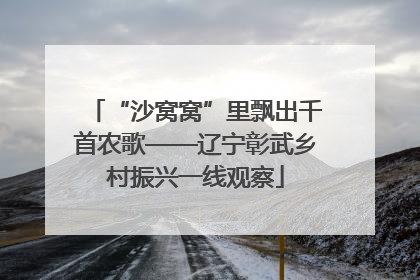 “沙窝窝”里飘出千首农歌——辽宁彰武乡村振兴一线观察