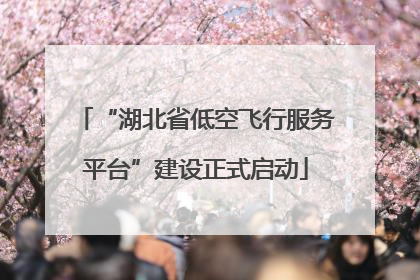 “湖北省低空飞行服务平台”建设正式启动
