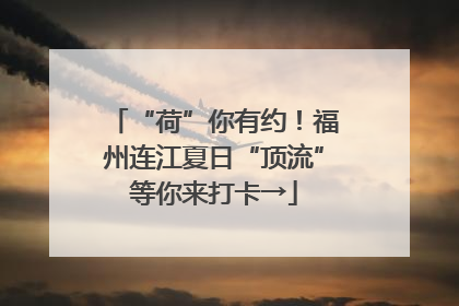 “荷”你有约！福州连江夏日“顶流”等你来打卡→