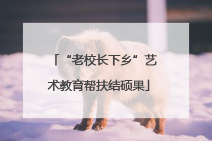 “老校长下乡”艺术教育帮扶结硕果