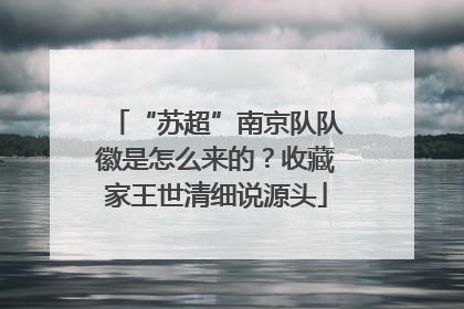 “苏超”南京队队徽是怎么来的？收藏家王世清细说源头