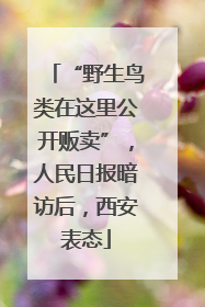 “野生鸟类在这里公开贩卖”，人民日报暗访后，西安表态