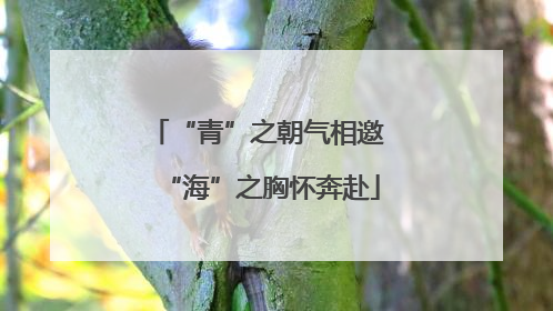 “青”之朝气相邀 “海”之胸怀奔赴