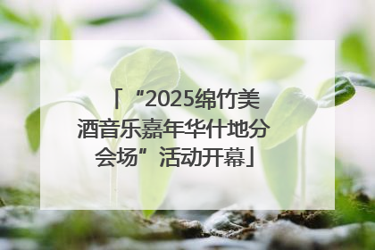 “2025绵竹美酒音乐嘉年华什地分会场”活动开幕