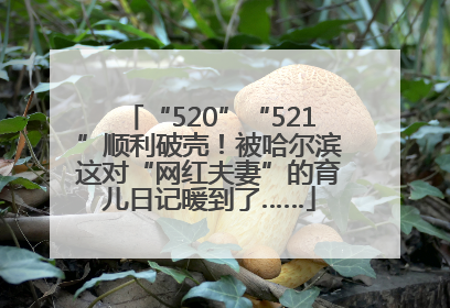 “520”“521”顺利破壳！被哈尔滨这对“网红夫妻”的育儿日记暖到了……
