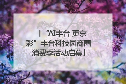 “AI丰台 更京彩”丰台科技园商圈消费季活动启幕