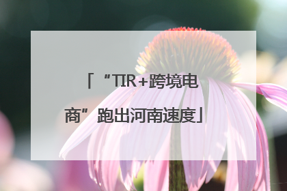 “TIR+跨境电商”跑出河南速度