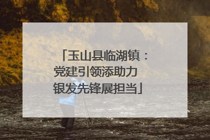 玉山县临湖镇：党建引领添助力 银发先锋展担当