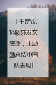 王楚钦、孙颖莎发文感谢，王励勤总结中国队表现