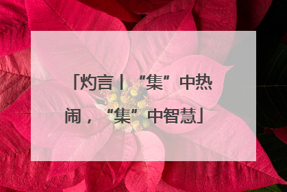 灼言丨“集”中热闹，“集”中智慧