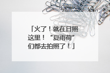 火了！就在日照这里！“夏雨荷”们都去拍照了！