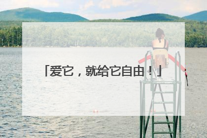 爱它，就给它自由！
