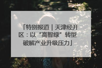 特别报道｜天津经开区：以“高智绿”转型破解产业升级压力