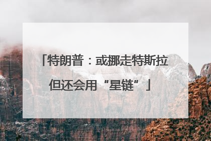 特朗普：或挪走特斯拉 但还会用“星链”
