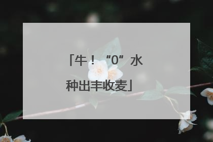 牛！“0”水种出丰收麦