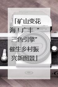 矿山变花海！广丰“三色引擎”催生乡村振兴新图景